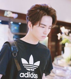 五岁男孩子头发设计图片