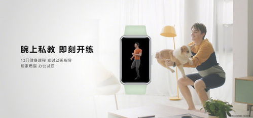 华为Fit全部功能介绍，华为Fit全功能介绍，健康管理专家