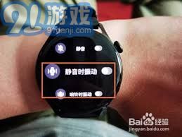 华为手表语音功能介绍，华为手表语音功能介绍，智能语音助手功能全面解析
