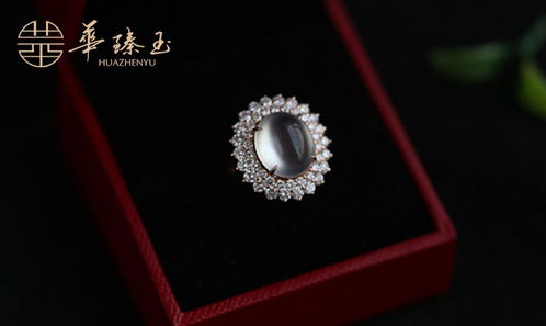 珠宝口号设计图片