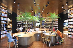 书店创业设计图片