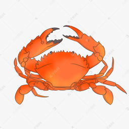 海蟹设计图片大全