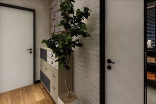 对门花墙设计图片