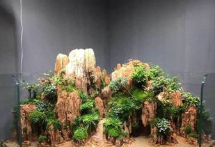 假山鱼缸设计图片