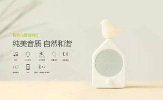 趣味打卡设计图片