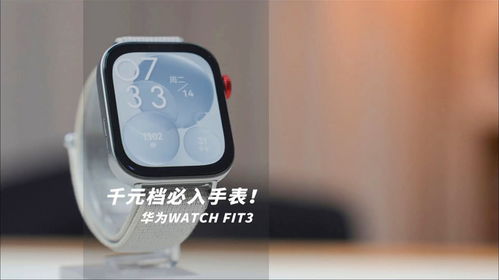 华为Fit功能全面讲解
