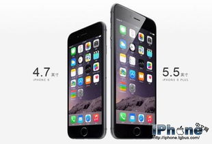 iPhone6价格解析，iPhone6价格揭秘