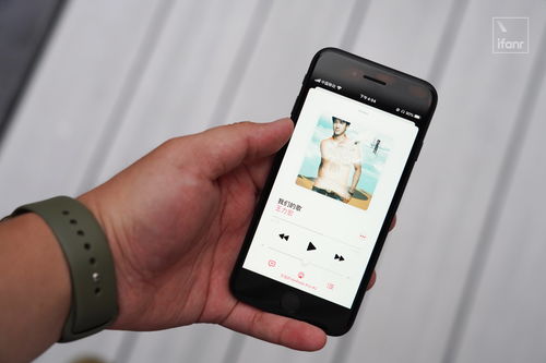 iPhone直播，科技与艺术的完美融合，iPhone直播，科技与艺术的完美融合，引领未来直播间风潮！