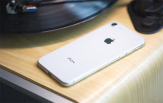 iPhone实体店体验记，探索iPhone实体店，一次真实的购物之旅体验分享！