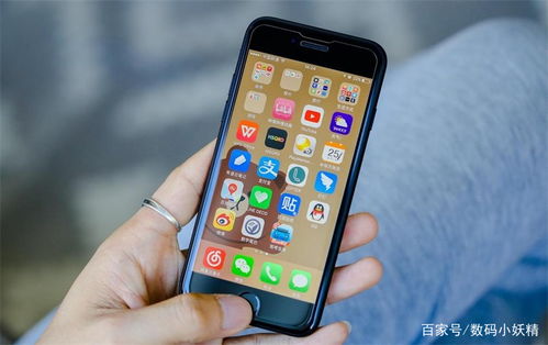 iPhone小说，探索手机阅读的无限可能，iPhone小说，开启手机阅读的无限新篇章