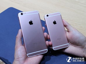 iPhone6s照片，记录生活中的美好瞬间，iPhone6s照片，捕捉生活中的美好瞬间