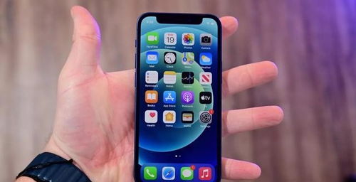 iPhone 小屏体验，iPhone小屏新体验