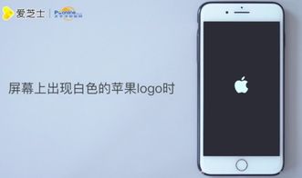 iPhone7重启，重新启动你的智能生活，iPhone7重启，开启全新智能生活新篇章