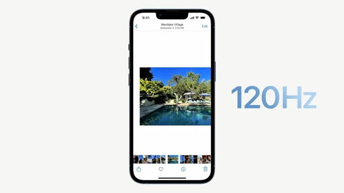 iPhone相机软件，提升摄影体验的新利器，iPhone相机软件革新摄影体验，全新功能与优化