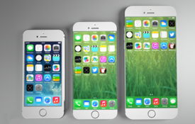 iPhone双重认证，安全与便捷的完美结合，iPhone双重认证，安全与便捷的完美融合体验升级