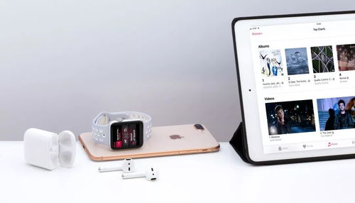 iPhone播客，探索音频新纪元，iPhone播客引领音频新纪元，探索无限可能