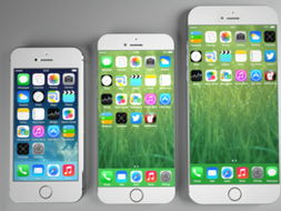 iPhone屏蔽电话，功能与使用体验，iPhone屏蔽电话功能与使用体验