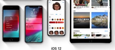 iPhone通话转移功能详解，iPhone通话转移功能全解析
