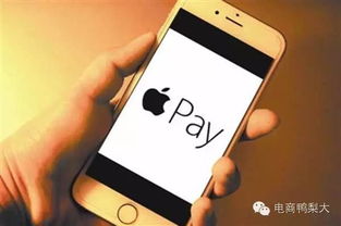 关于iPhone安全性的探讨，中病毒的风险，iPhone安全性与防范病毒风险探讨