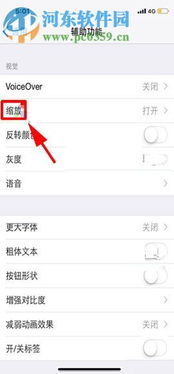iPhone全选文字功能详解，iPhone全选文字功能使用指南