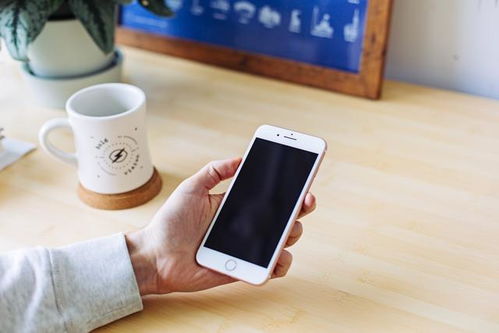 iPhone内置词典，便捷工具，知识宝库，iPhone内置词典，知识宝库助你掌握海量词汇