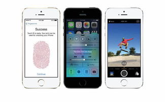 iPhone照片回忆，留住美好瞬间，iPhone照片回忆，留住美好瞬间，重温旧日时光