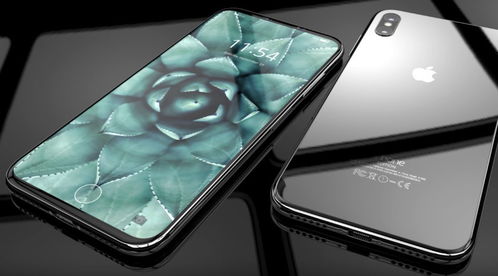 iPhone有指纹和无指纹的对比，iPhone指纹与无指纹功能对比分析