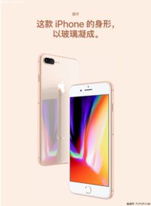 iPhone相机格子，探索摄影新境界，iPhone相机格子，解锁摄影新境界