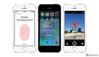 iPhone拍照不清晰问题探讨，iPhone拍照不清晰问题解析