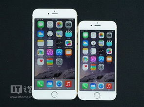 iPhone6Plus外屏更换攻略，iPhone6Plus外屏更换指南