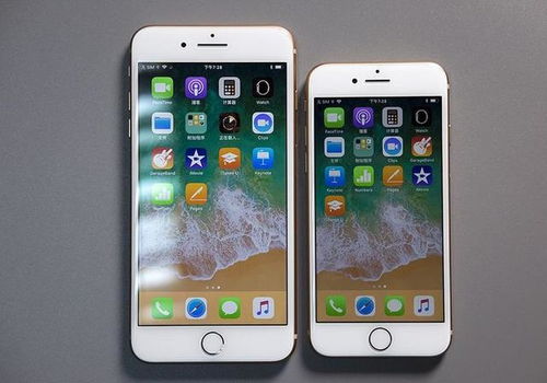 iPhone X与 iPhone 8大小对比，iPhone X与 iPhone 8大小对比，细节差异明显
