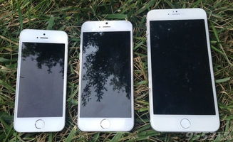 iPhone6屏幕介绍，iPhone6屏幕功能介绍
