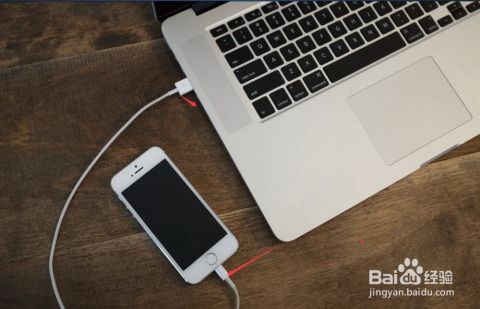 iPhone PP助手，便捷操作，智能生活新体验，iPhone PP助手，智能生活新体验，便捷操作