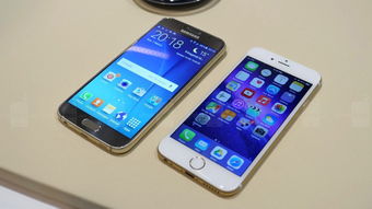 iPhone照片图库，便捷与高效的智能工具，iPhone照片图库，智能工具引领便捷高效新纪元