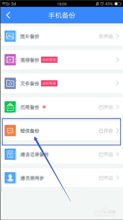 iPhone删除短信恢复指南，iPhone短信恢复指南