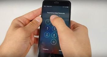 iPhone6应用，解锁智能生活新篇章，iPhone6应用引领智能生活新篇章，解锁更多便捷体验