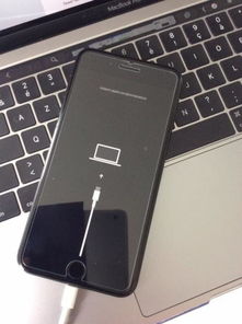 iPhone6接口介绍，iPhone6接口介绍，细节与功能