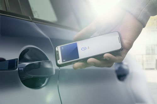iPhone4写号机，解锁数字时代的革命性工具，iPhone4写号机，解锁数字时代革命性工具