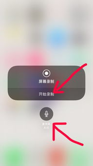 在iPhone视频里，找到观看的视频通常有以下几种方式，iPhone视频观看的多种方式