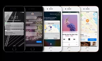 手机定位iPhone，解锁智能生活的全新体验，解锁智能生活，手机定位iPhone，体验全新科技时代！