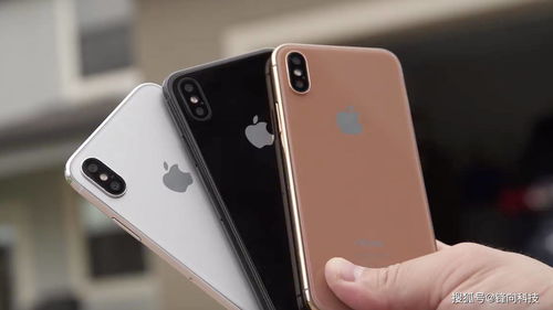 无指纹的iPhone，独特魅力与使用体验，无指纹iPhone，创新与体验的完美结合