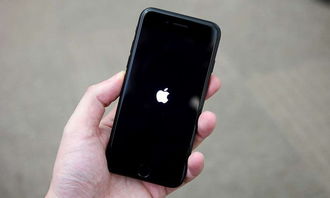 亚马逊iPhone，科技新宠，亚马逊iPhone引领科技新风潮