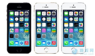 iPhone5s照相，专业与便捷的完美结合，iPhone5s拍照革新，专业与便捷的完美融合