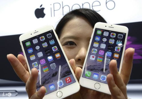 iPhone提示软件，便捷生活的新伙伴，iPhone提示软件，提升生活便捷性的新伙伴