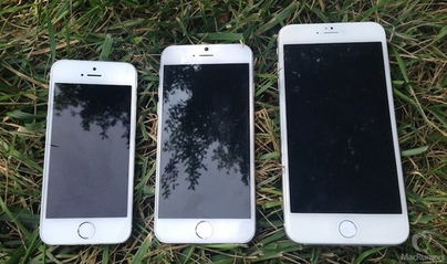 iPhone5s屏黄问题分析与解决方案，iPhone5s屏黄问题分析与解决方案大全