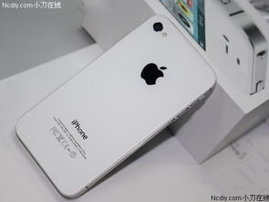 iPhone支持多种网络类型，包括但不限于以下几种，iPhone支持多种网络类型，包括Wi-Fi、移动数据和5G