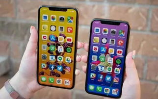 如何去除 iPhone 中的广告，享受纯净使用体验，去除 iPhone 中的广告，纯净使用体验轻松开启