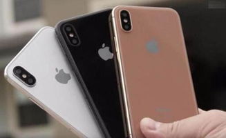 iPhone假死现象及其影响，iPhone假死现象对用户体验的影响