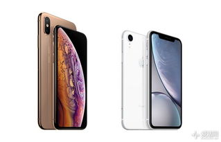 国外购买iPhone的体验与选择，国外购买iPhone的体验与选择，全方位指南