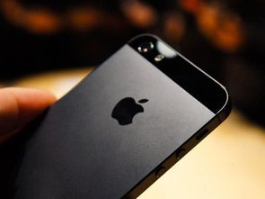 iPhone5开4G，畅享极速网络体验，iPhone5畅享极速网络体验